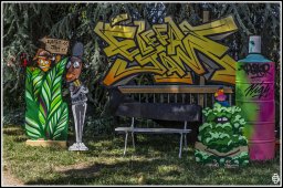 chambery - street art -13